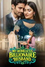 My Homeless Billionaire Husband