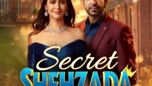 Secret Shehzada
